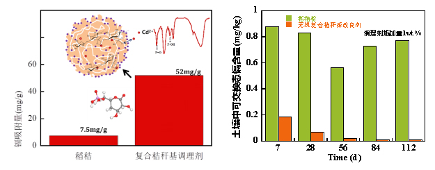 δ(bio)}-2.jpg