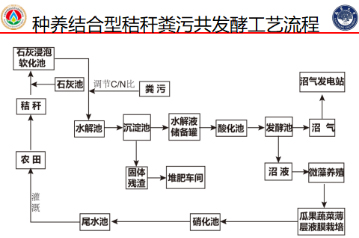 δ}-12.jpg